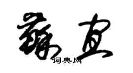 朱锡荣苏宜草书个性签名怎么写