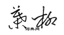 骆恒光叶柳草书个性签名怎么写