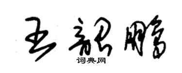 朱锡荣王韶鹏草书个性签名怎么写