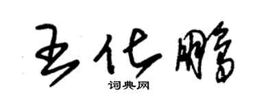 朱锡荣王化鹏草书个性签名怎么写