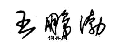朱锡荣王鹏渤草书个性签名怎么写