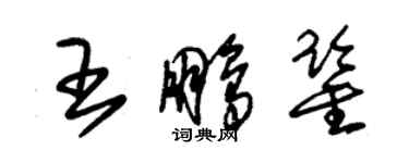 朱锡荣王鹏鉴草书个性签名怎么写