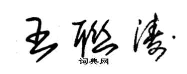 朱锡荣王联涛草书个性签名怎么写