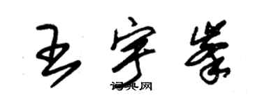 朱锡荣王宇峰草书个性签名怎么写
