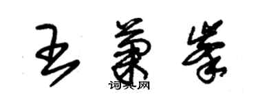 朱锡荣王菊峰草书个性签名怎么写