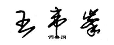 朱锡荣王韦峰草书个性签名怎么写