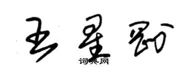 朱锡荣王星刚草书个性签名怎么写
