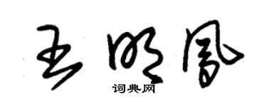 朱锡荣王明凤草书个性签名怎么写