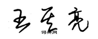 朱锡荣王其亮草书个性签名怎么写