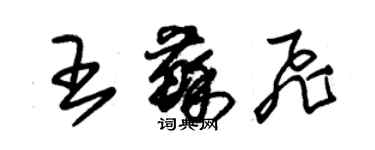 朱锡荣王苏飞草书个性签名怎么写
