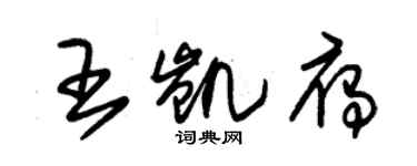 朱锡荣王凯雁草书个性签名怎么写