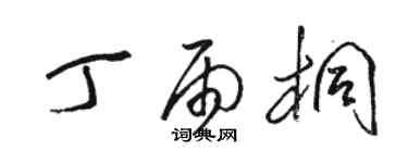 骆恒光丁雨桐草书个性签名怎么写