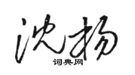 骆恒光沈杨草书个性签名怎么写