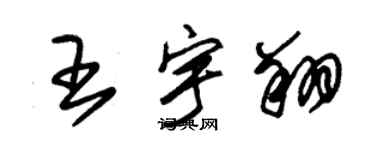 朱锡荣王宇翔草书个性签名怎么写