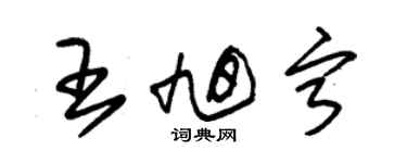 朱锡荣王旭宁草书个性签名怎么写