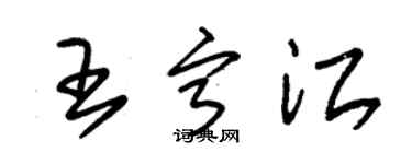 朱锡荣王宁江草书个性签名怎么写