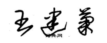 朱锡荣王建菊草书个性签名怎么写