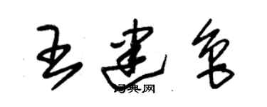 朱锡荣王建鲁草书个性签名怎么写