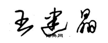 朱锡荣王建晶草书个性签名怎么写