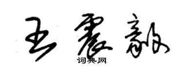 朱锡荣王震毅草书个性签名怎么写
