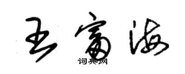 朱锡荣王富海草书个性签名怎么写