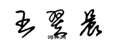朱锡荣王翌晨草书个性签名怎么写