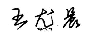 朱锡荣王尤晨草书个性签名怎么写