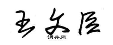 朱锡荣王文臣草书个性签名怎么写