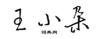 骆恒光王小朵草书个性签名怎么写