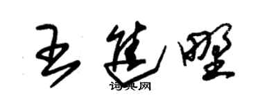 朱锡荣王进野草书个性签名怎么写