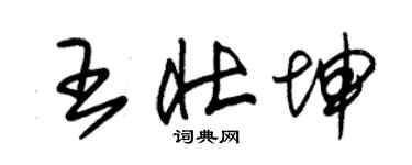 朱锡荣王壮坤草书个性签名怎么写