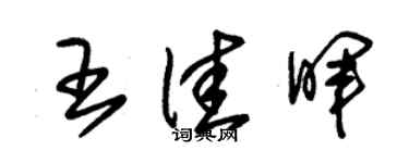 朱锡荣王佳晖草书个性签名怎么写