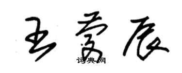 朱锡荣王庆辰草书个性签名怎么写
