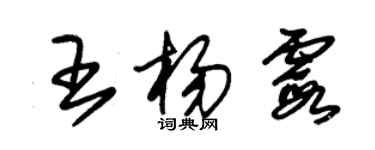 朱锡荣王杨霞草书个性签名怎么写