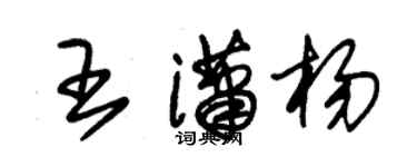 朱锡荣王潇杨草书个性签名怎么写