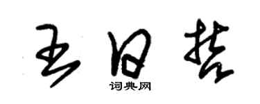 朱锡荣王日哲草书个性签名怎么写