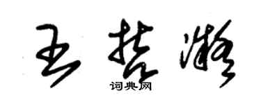 朱锡荣王哲凝草书个性签名怎么写