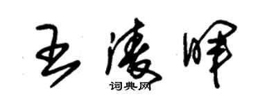 朱锡荣王凌晖草书个性签名怎么写