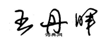朱锡荣王丹晖草书个性签名怎么写