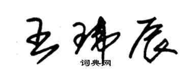 朱锡荣王玮辰草书个性签名怎么写