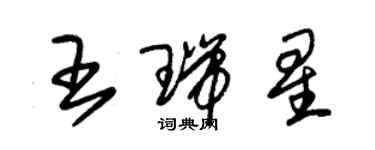 朱锡荣王瑞星草书个性签名怎么写