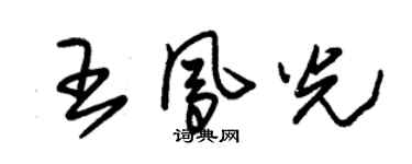 朱锡荣王凤光草书个性签名怎么写