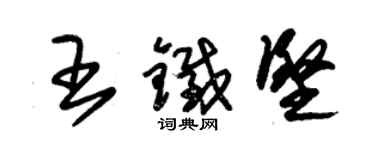 朱锡荣王铁坚草书个性签名怎么写