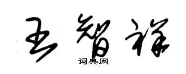 朱锡荣王智祥草书个性签名怎么写