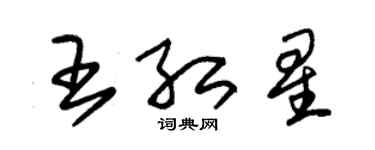 朱锡荣王红星草书个性签名怎么写