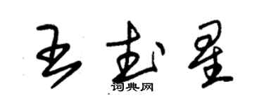 朱锡荣王武星草书个性签名怎么写