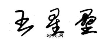 朱锡荣王星垒草书个性签名怎么写