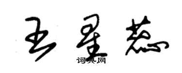 朱锡荣王星蕊草书个性签名怎么写