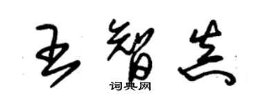 朱锡荣王智真草书个性签名怎么写