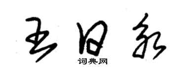 朱锡荣王日永草书个性签名怎么写
